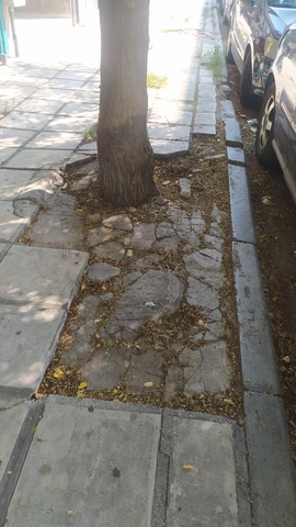 Φωτογραφία 2